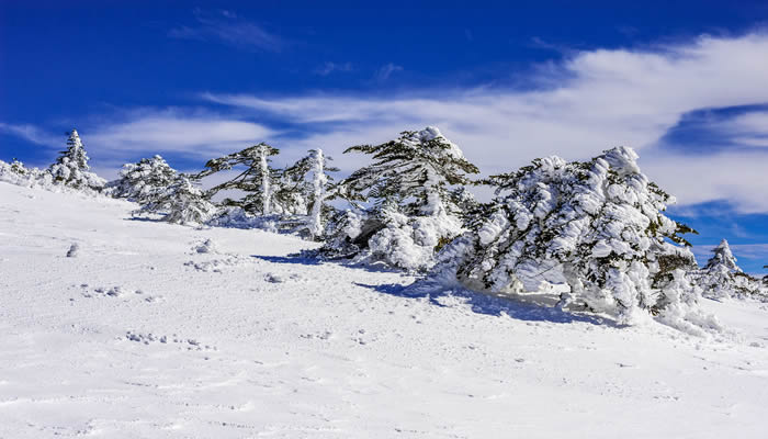 昆明轎子雪(xuě)山(shān)雪(xuě)景